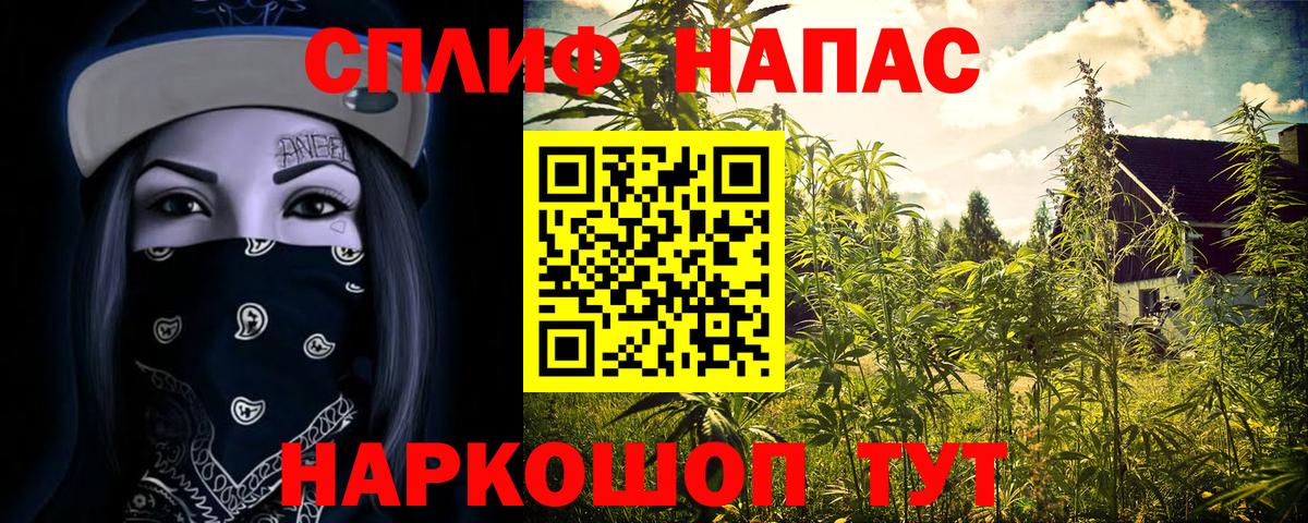 Бошки марихуана гибрид  МАРИХУАНА ГИДРОПОН  Вход с VPN  Черкесск  Каннабис марихуана 
